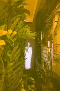 Today's cake is a log. Photo: Torben Eskerod